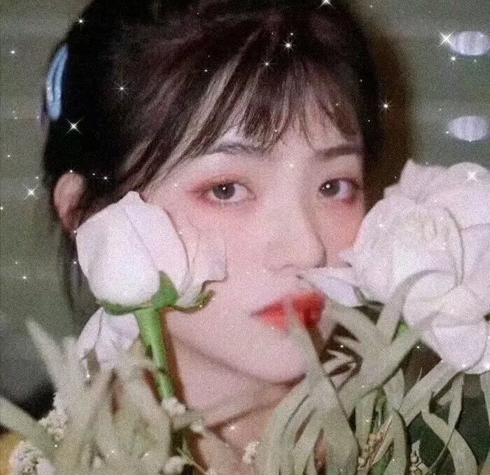 梅花档案